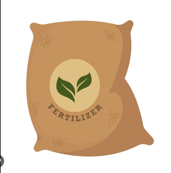 Grocery Ecommerce Template