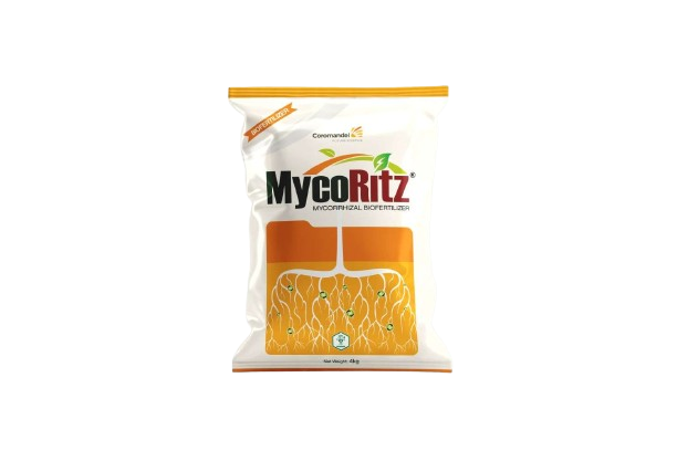 Grocery Ecommerce Template